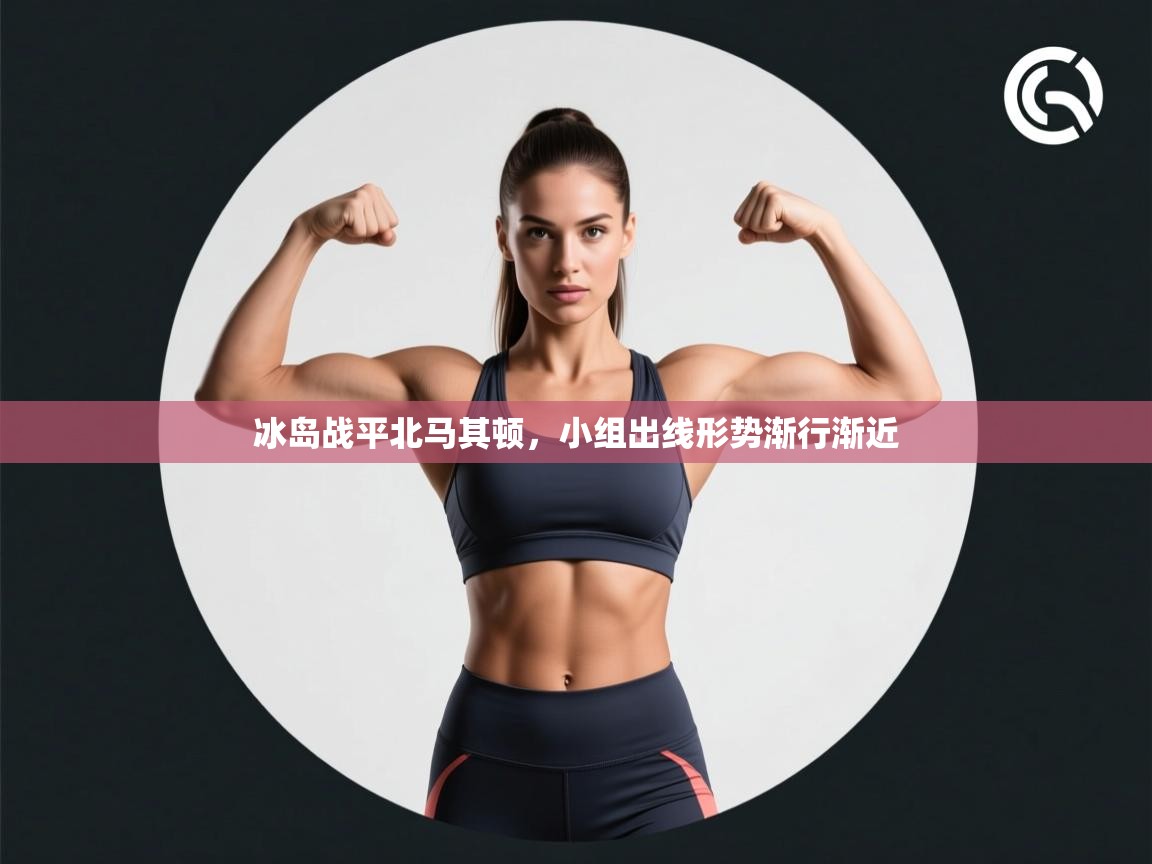 冰岛战平北马其顿,小组出线形势渐行渐近 第1张