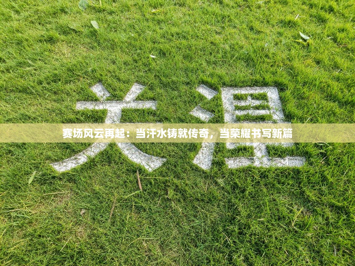 赛场风云再起:当汗水铸就传奇,当荣耀书写新篇 第1张