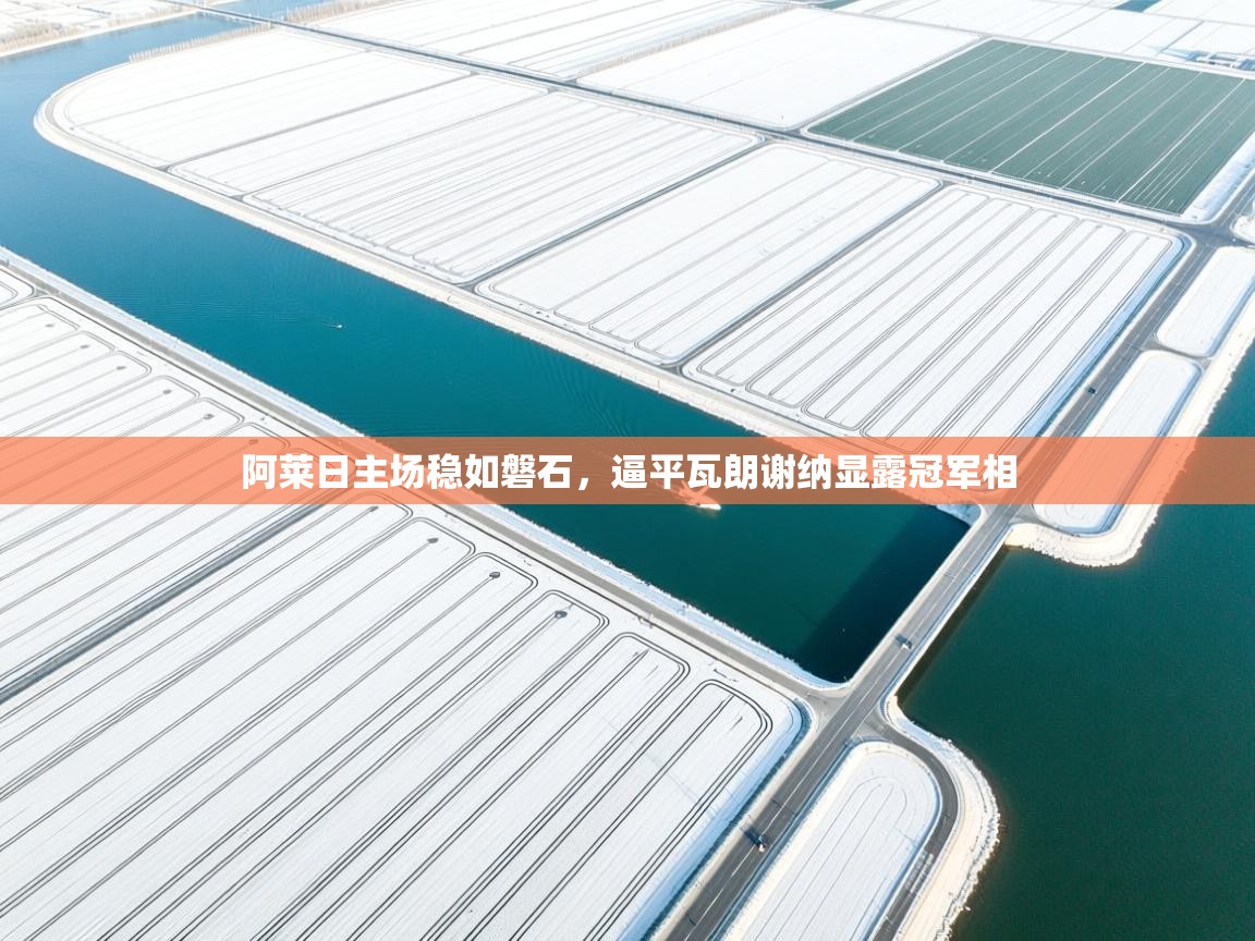 阿莱日主场稳如磐石，逼平瓦朗谢纳显露冠军相  第1张