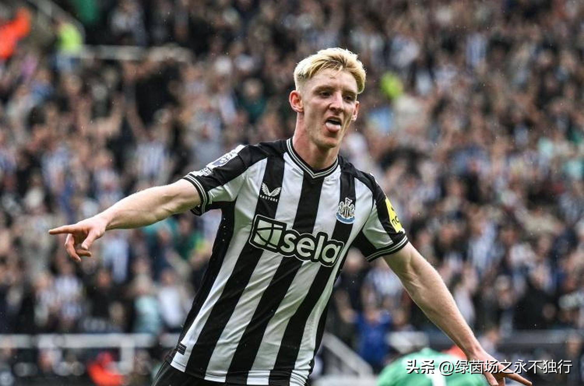 爱游戏app-纽卡斯尔联队全队集训，备战下轮比赛